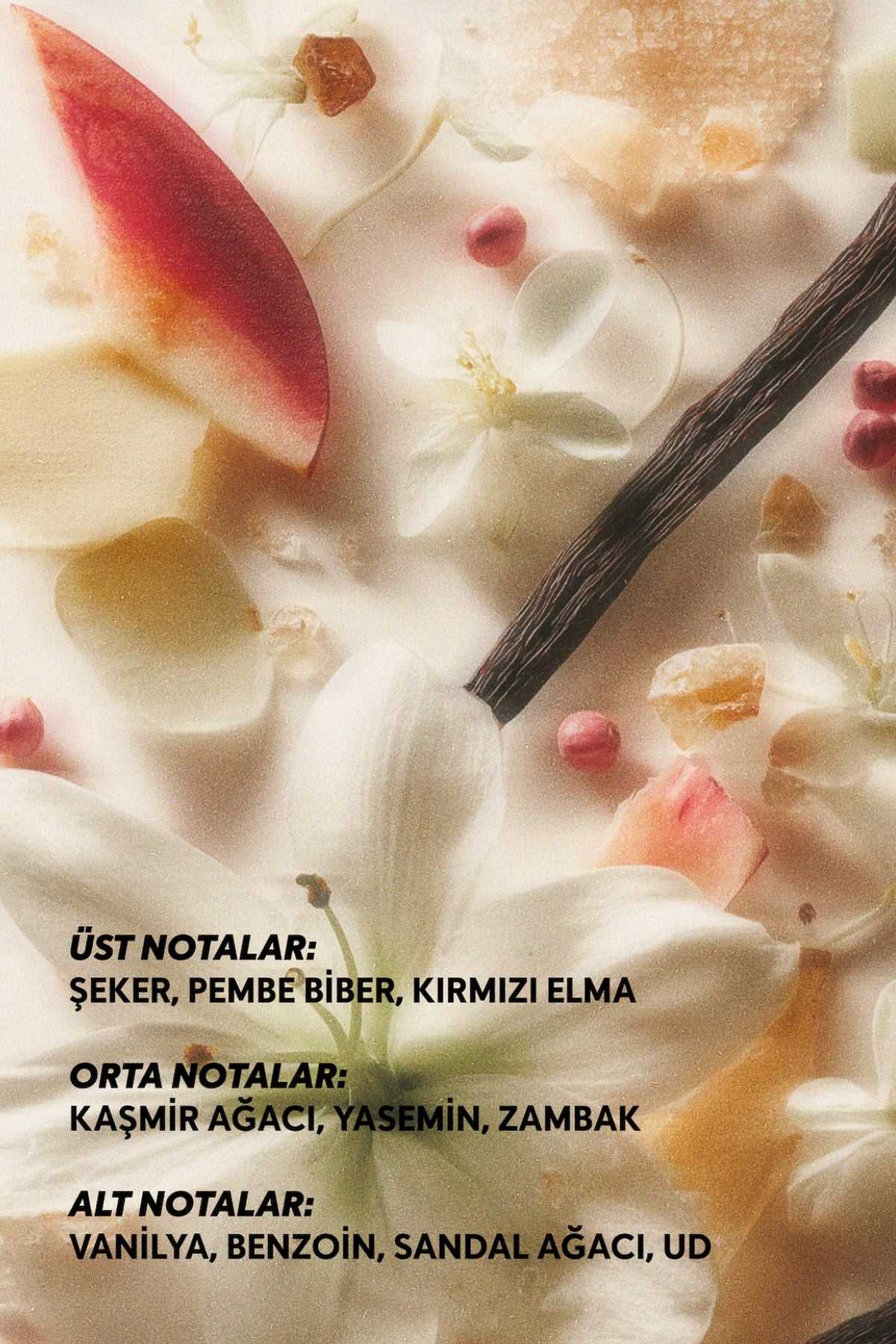 Aura Eau de Parfum