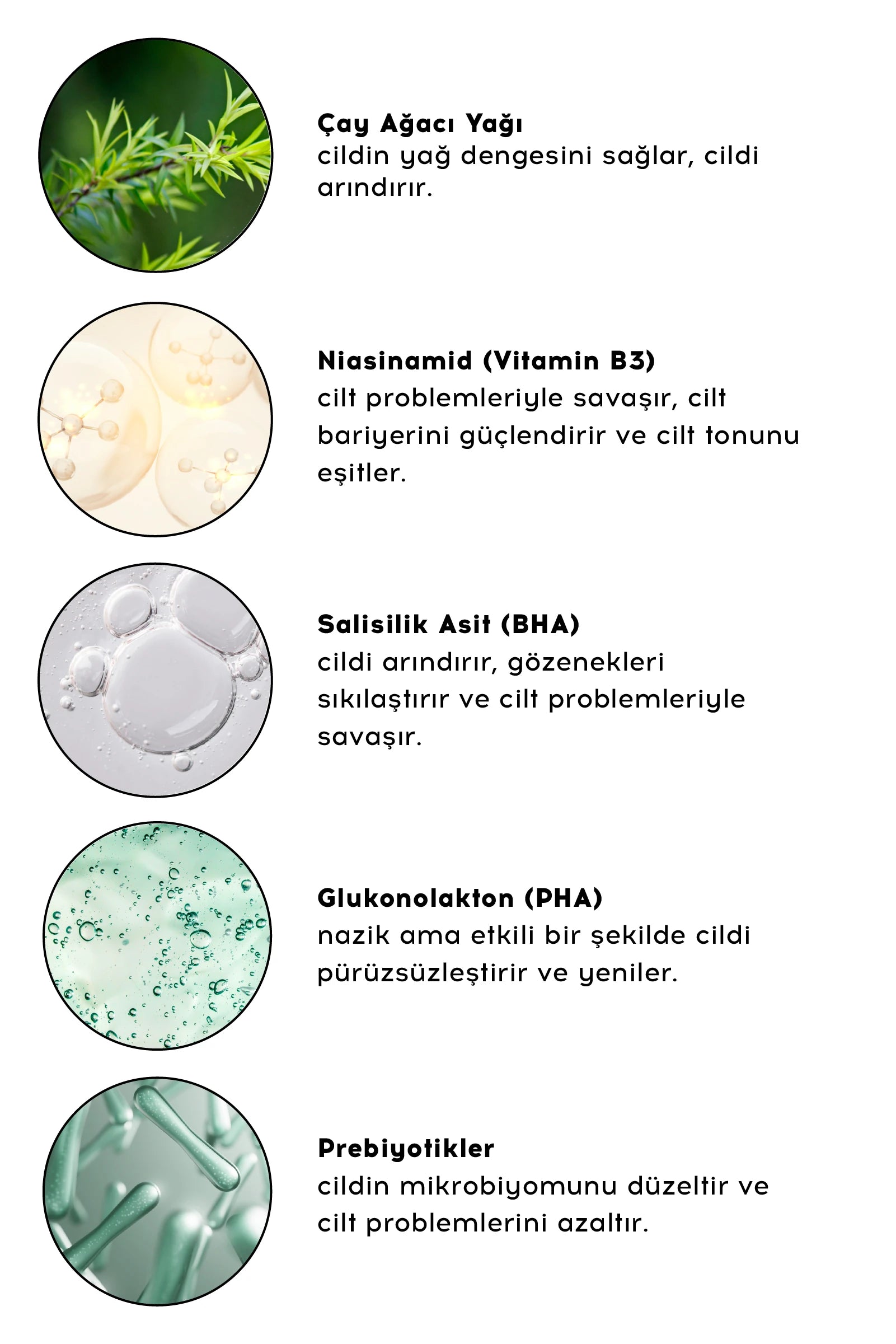 BHA/PHA Niacinamide Toner