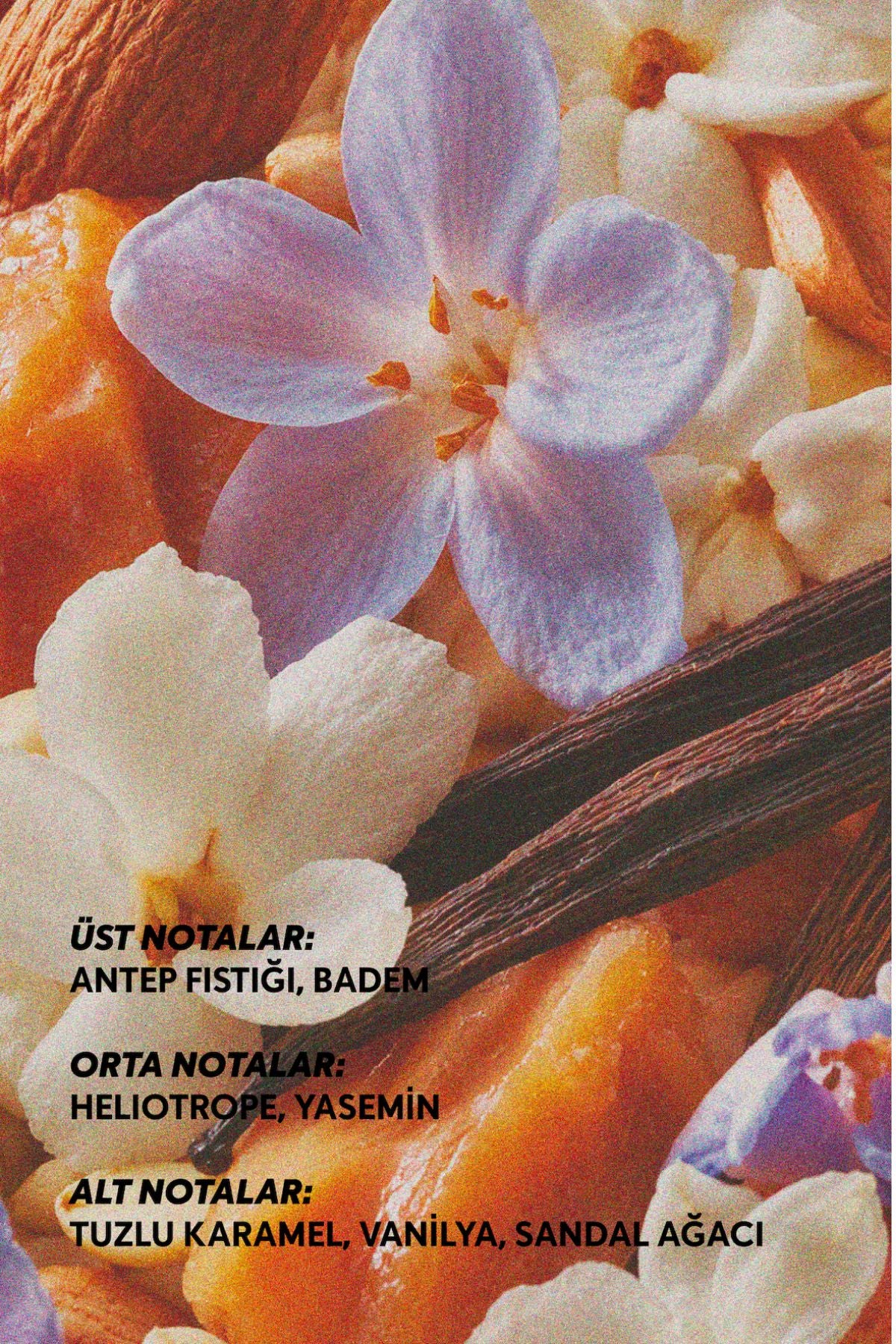 Aura Bronze Eau de Parfum