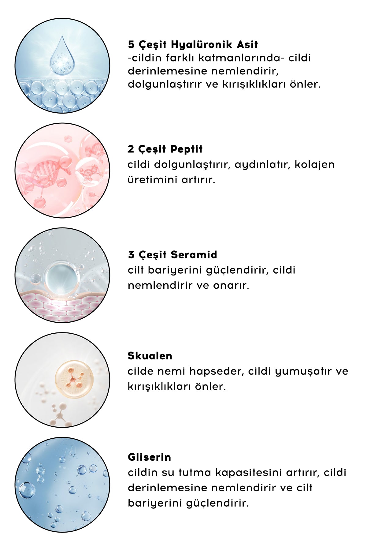 Doğum Günü Özel Seti